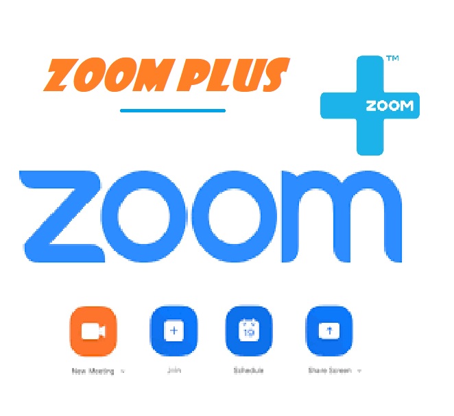 Zoom Plus quy mô 100 người